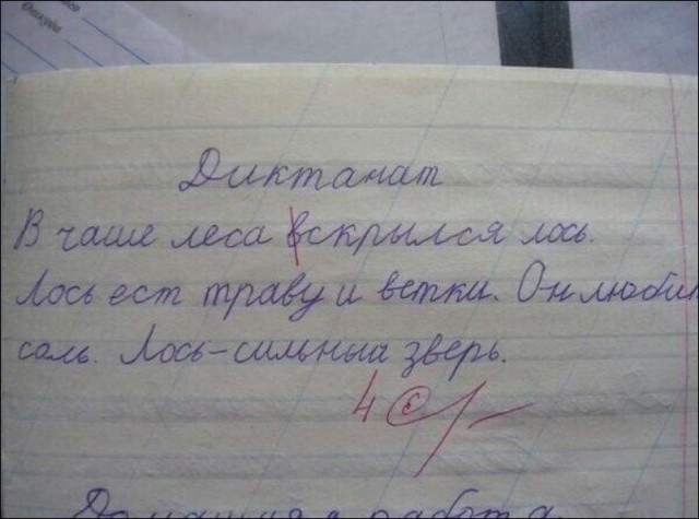 14 детей, которые оказались смышленее своих учителей