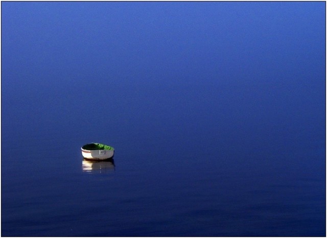 Яркие фотографии John White