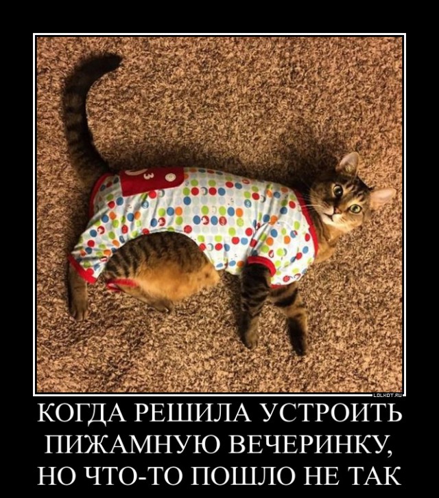 Разные картинки