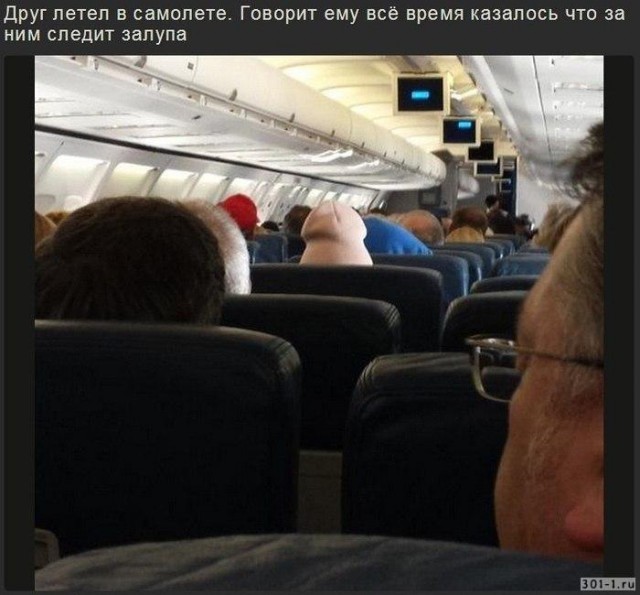 Центнер Идиотизма