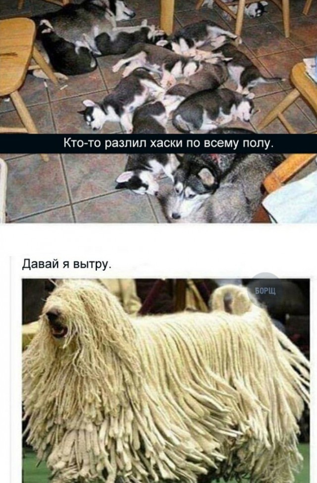 Нестандартный юмор