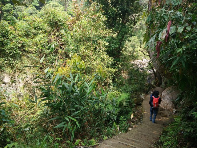 К живым мостам и обратно. Заметки из Индии