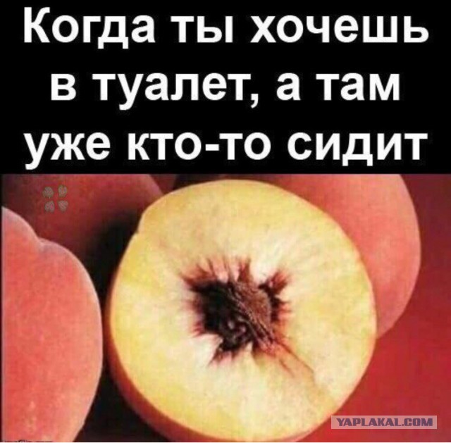 Не очень адекватный юмор