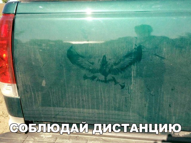 Прикольные картинки абавсём