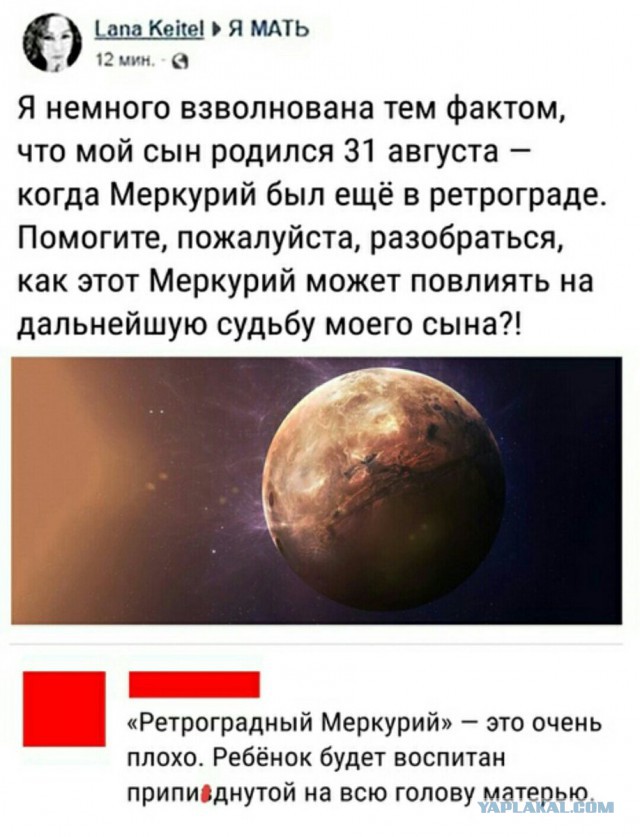 Немного картинок в этот вторник