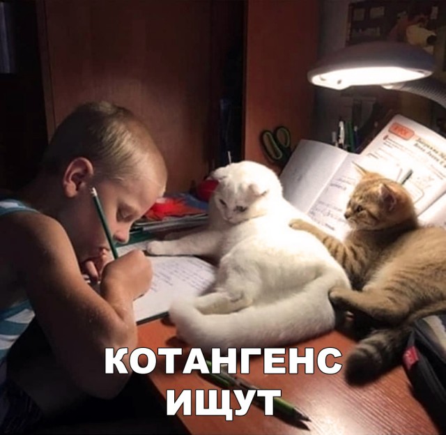Немного милоты
