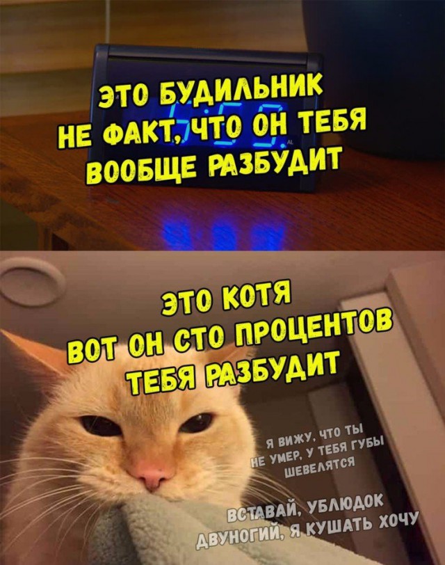Нестандартный юмор