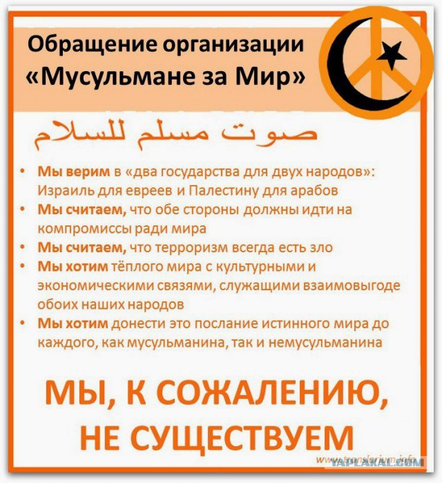 Несостоявшаяся жена египтянина - россиянка о своих приключениях в арабской стране