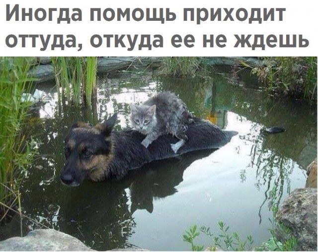 Всякое из этих ваших интернетов