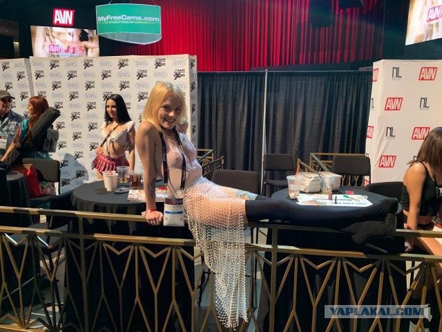 Порно-оскар 2019 (AVN Awards 2019)
