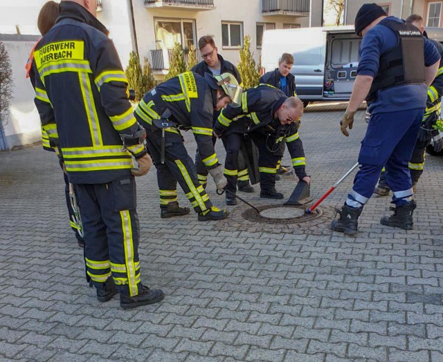 В Германии бригада пожарных спасла толстую крысу, застрявшую в канализационном люке