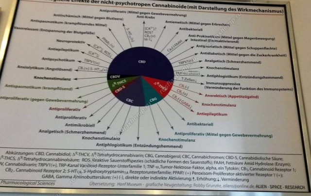Став владельцем конопляного ранчо, Майк Тайсон ежемесячно выкуривает травы на $40 000