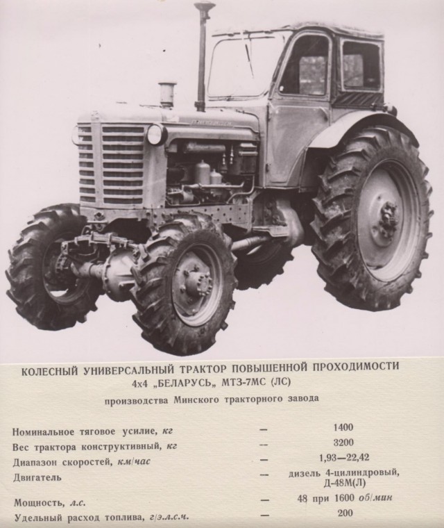 Будни новорега. Знакомство с вечным
