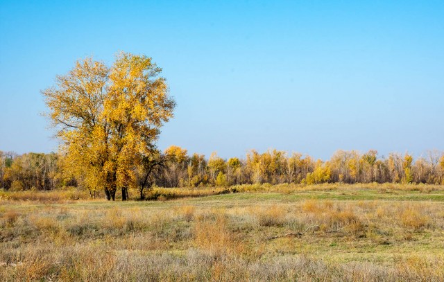 Деревенская Америка - 5