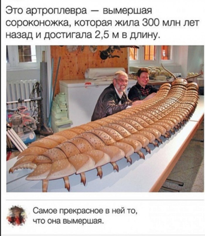 Бредзона