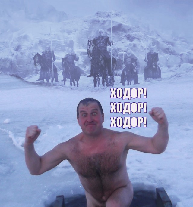 Голый морж