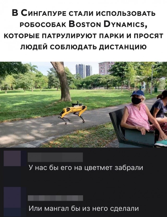 Немного картинок для настроения 11.05.20