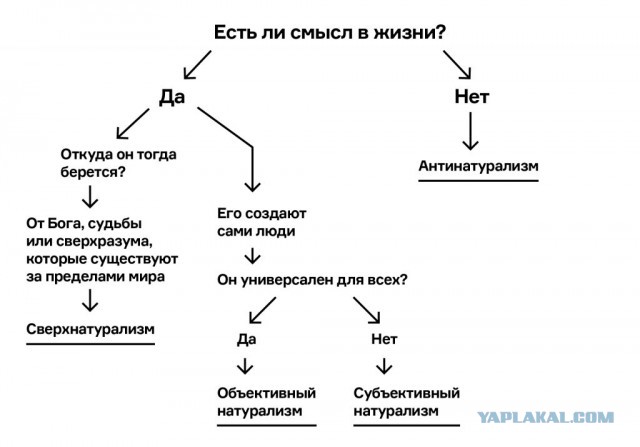 Есть всё, кроме смысла жизни