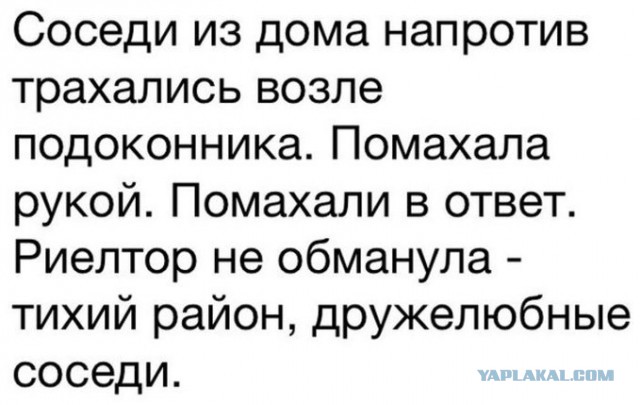 Бредзона 16.08.20