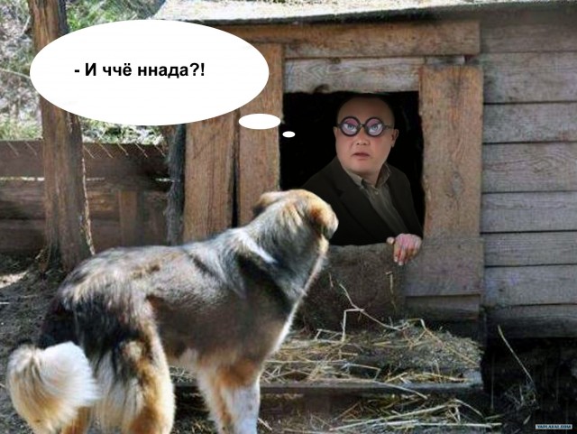 Фотожаба: Собака с Девушкой