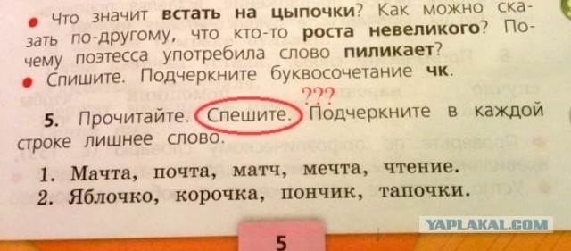 Свинегрет: картинки, надписи и прочее на 20.02.21 или №30