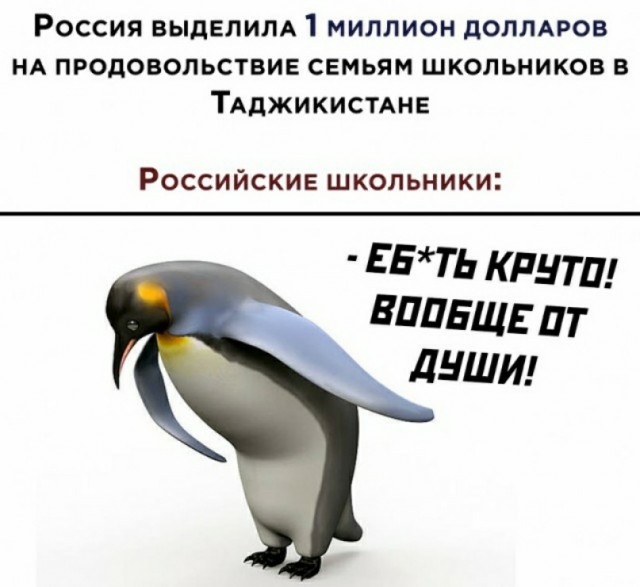 Весёлый полтишок 24.02