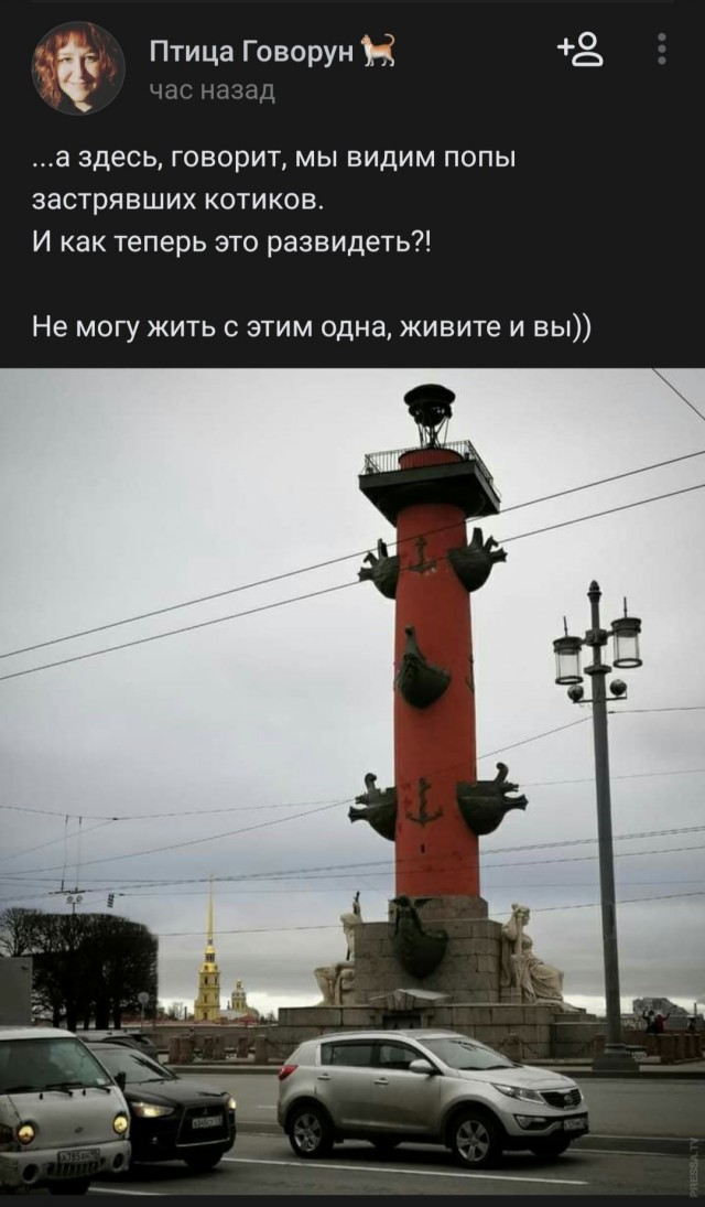 Картинки и мемы для настроения 22.03.2021
