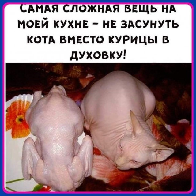 Картинки на понедельник