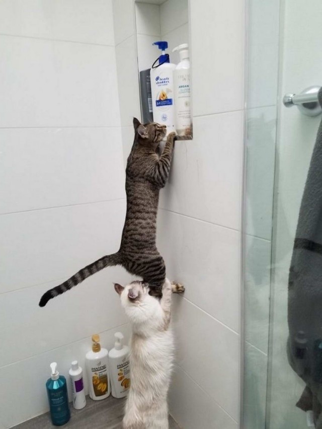 Картинки и мемы для настроения 30.09.2021