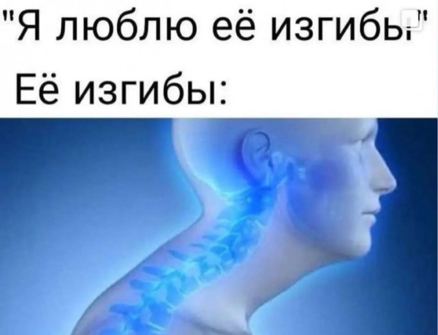 Юмор и прикольные картинки 11.11.2021