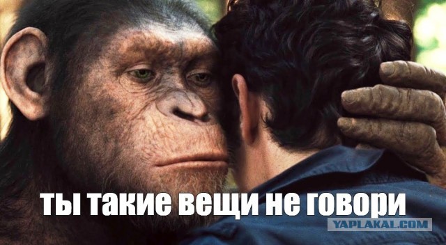 Стоимость простого отварного картофеля немного смутила не готовых к такому покупателей
