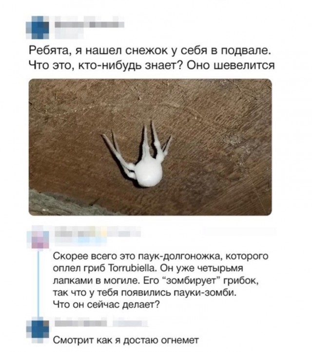 Мужик сказали мужик сделал - это два разных мужика
