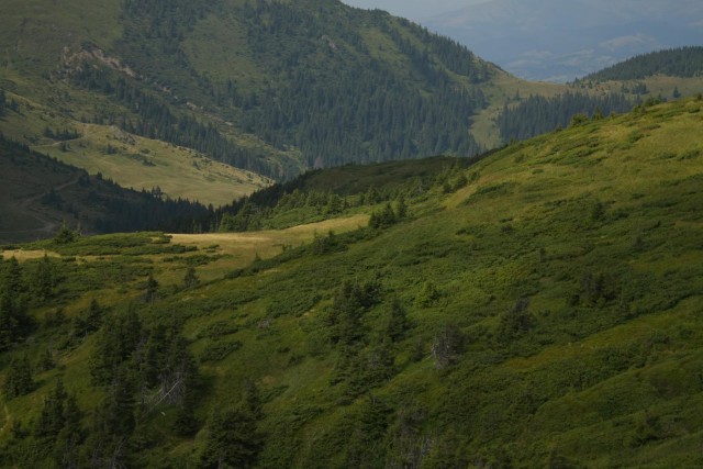 Карпаты, Закарпатье.