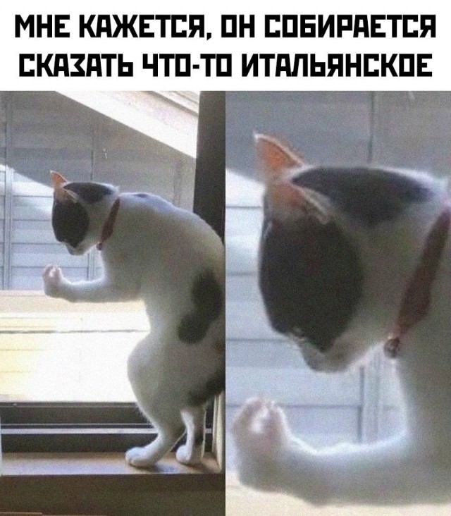 Чуток картинок 20.12.21
