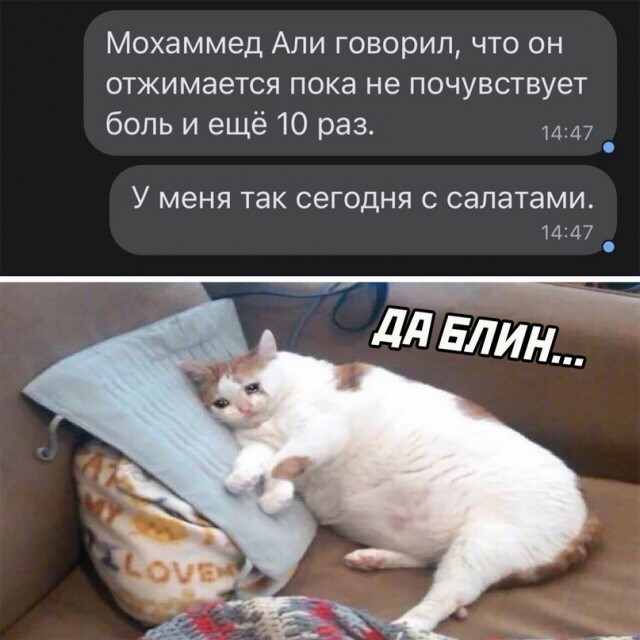 Весёлый полтишок 03.01