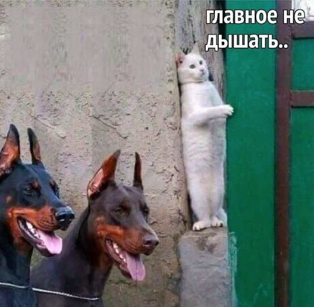 25 пикч для настроения