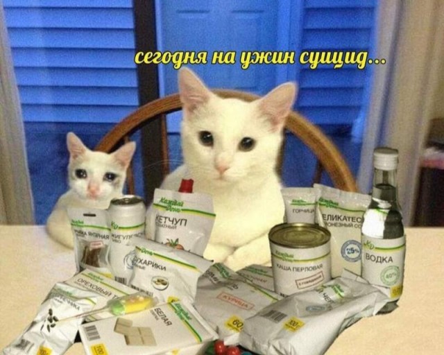 Производитель соков «Сады Придонья» объявил о вынужденном санкционном редизайне