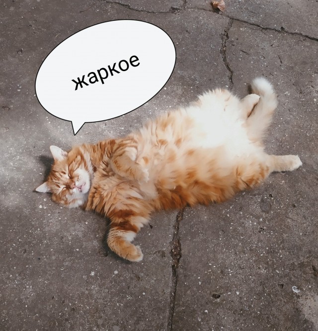 Ты чем-то недоволен, кожаный? Ну тогда лови