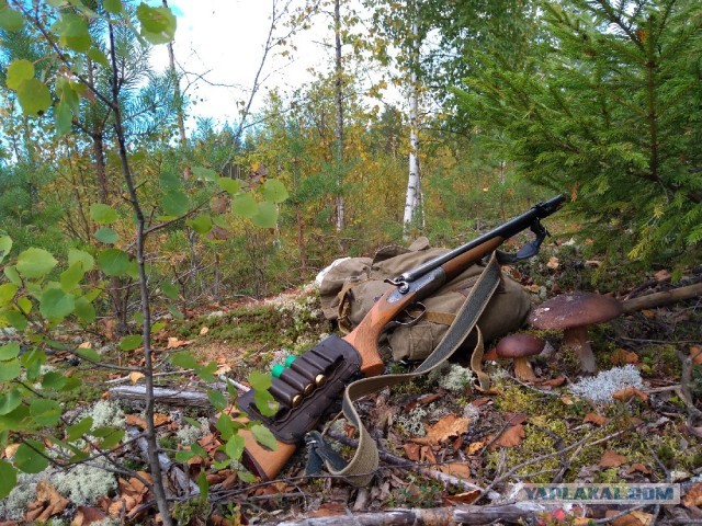 С полем!