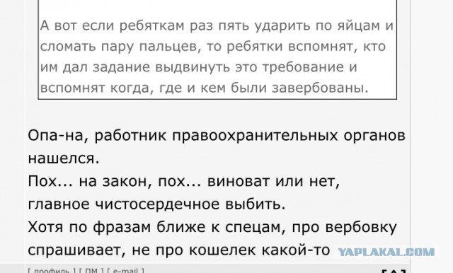 В Санкт-Петербурге в суд поступили материалы на депутатов по статье о дискредитации Вооруженных сил РФ и органов власти