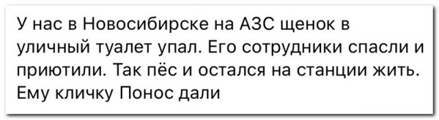 Забавные комментарии из социальных сетей (12.09.22)