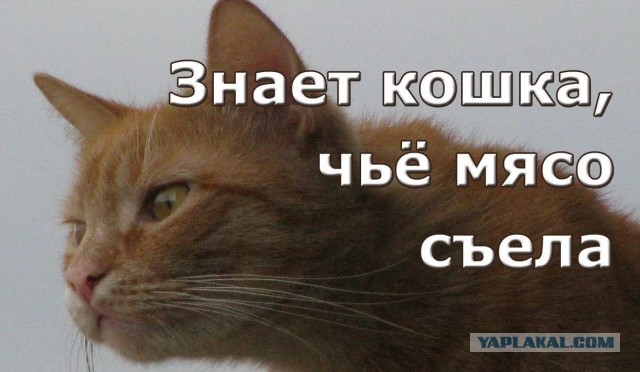 ⚡️Евросоюз исключил из санкционного списка Владимира Жириновского