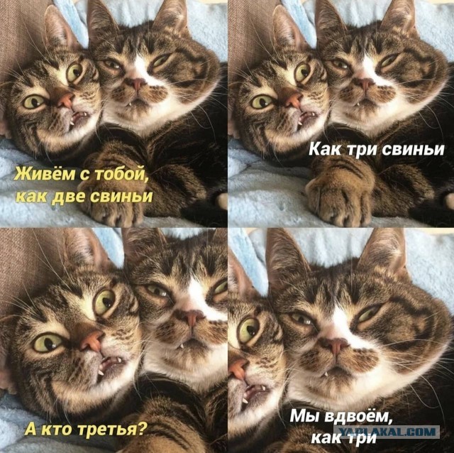 Когда ты пьян и есть выбор