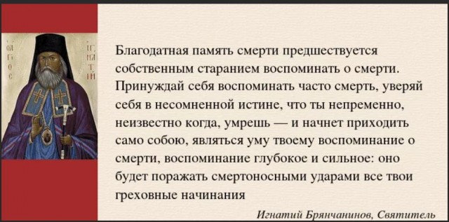 Победная поступь идиотизма по планете – том 4
