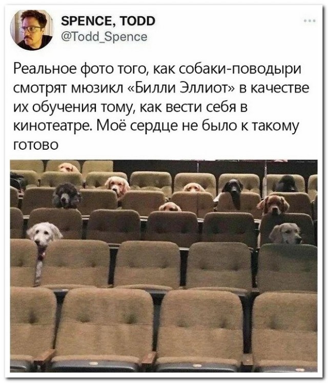 Забавные комментарии из социальных сетей (09.01.23)