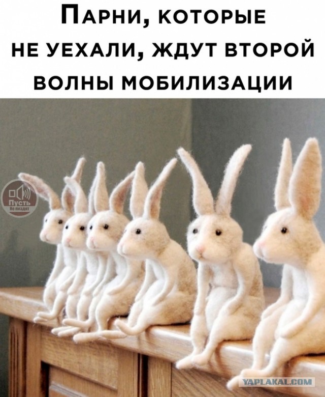 Военная прокуратура проведет проверку по ситуации с мобилизованными, «подставленными» командиром под дезертирство