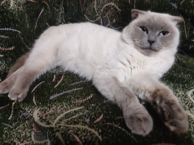 Moлoчный шoкoлaд с капелькoй недoвoльcтвa