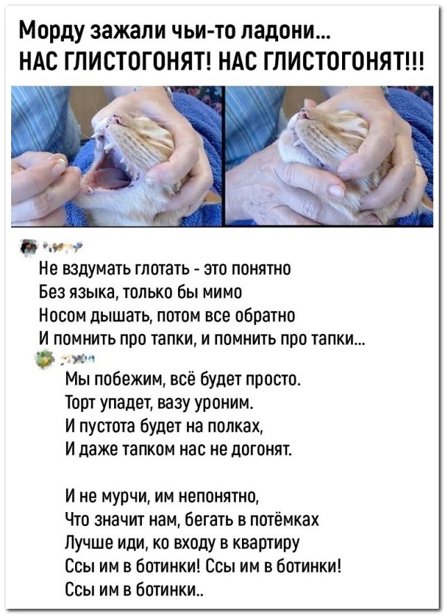 Забавные комментарии из социальных сетей (06.03.23)