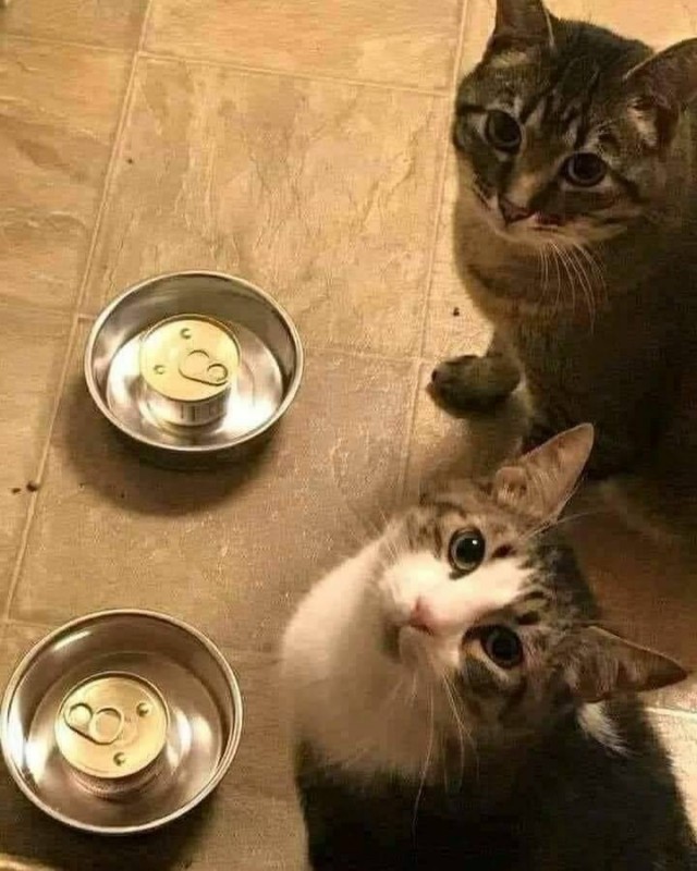 Подборка интересных и прикольных фото из Сети 01.04.23