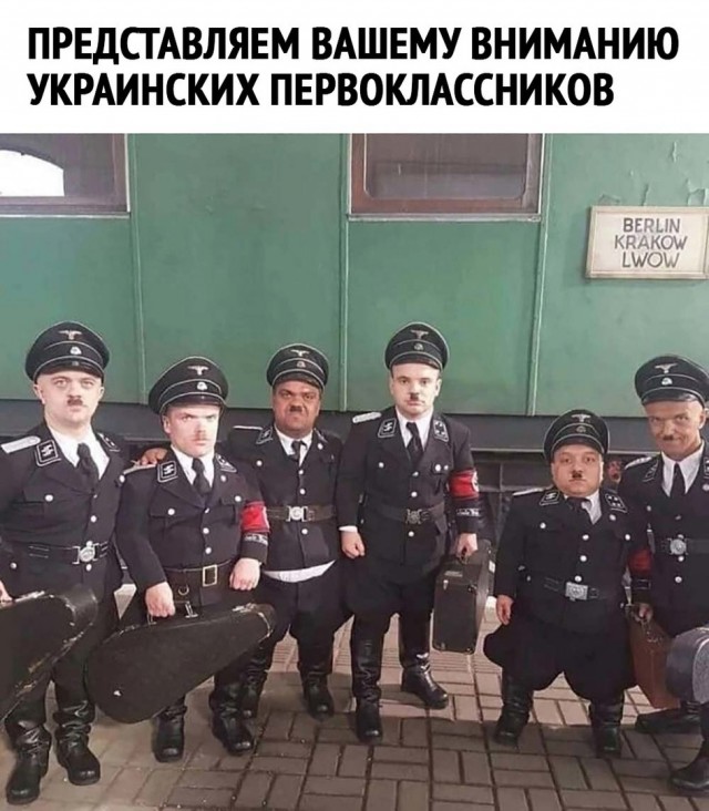 Весёлый полтишок 12.07 23